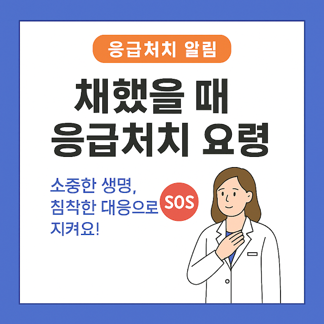 채했을 때 응급처치 요령