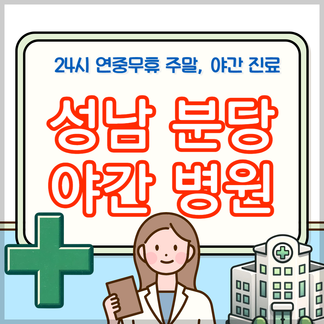 경기 성남 분당 24시 병원 야간 주말 진료 응급실
