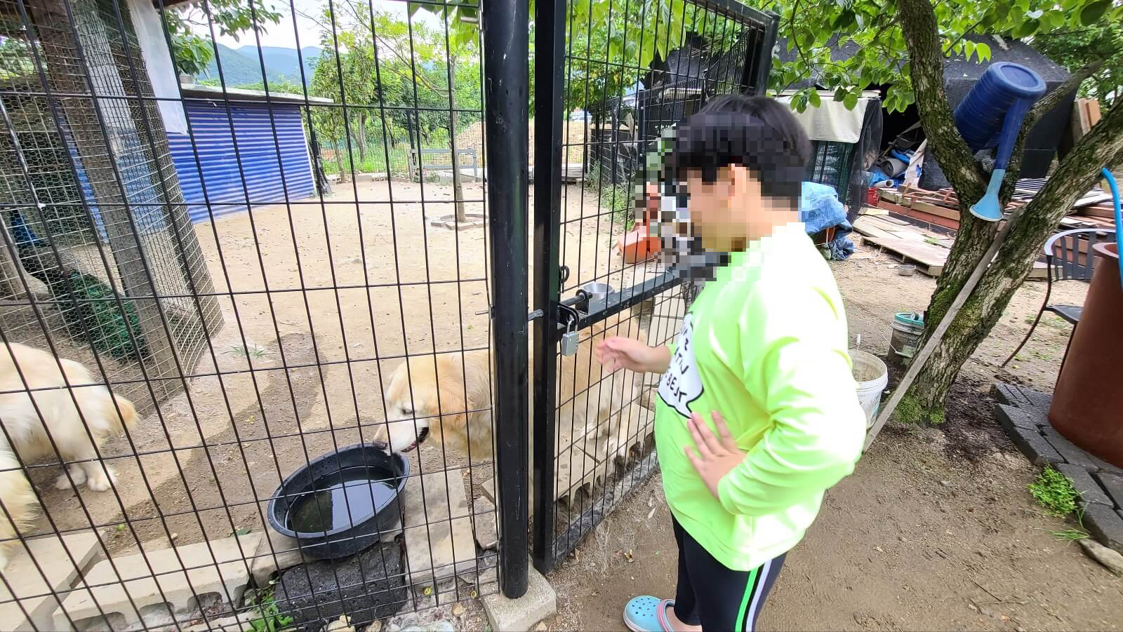 조련사