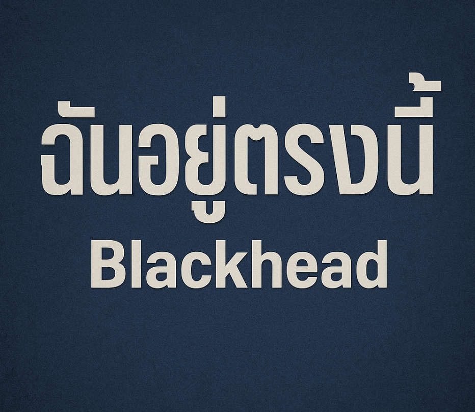 태국 노래 ฉันอยู่ตรงนี้ (찬 유 뜨롱 니) (Blackhead) 정보, 가사 분석, 총평