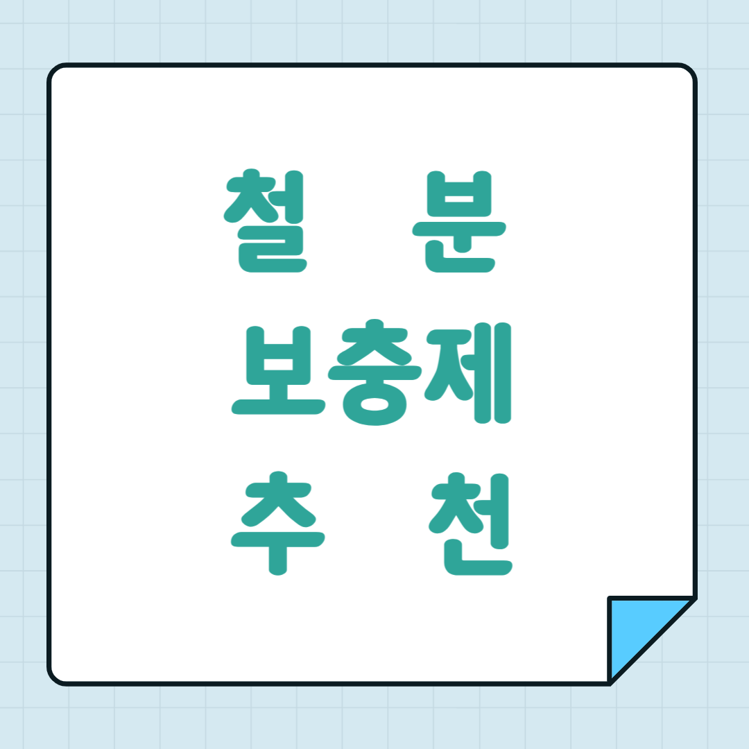 철분 보충제 추천