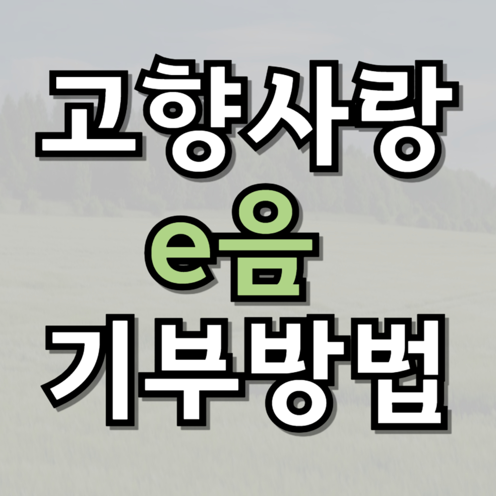 고향사랑e음 기부방법