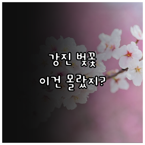 2026 강진 금곡사 벚꽃축제 일정 ..