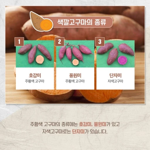 색깔 고구마의 종류 입니다.