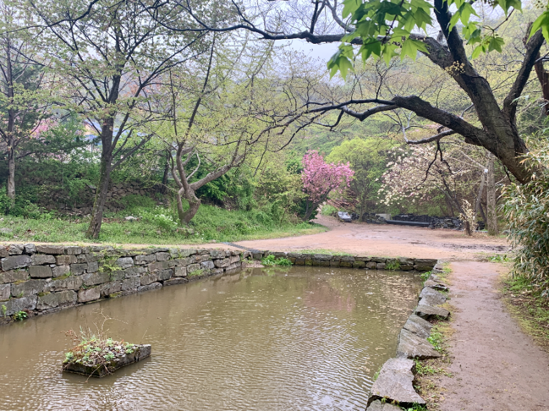개심사 연못