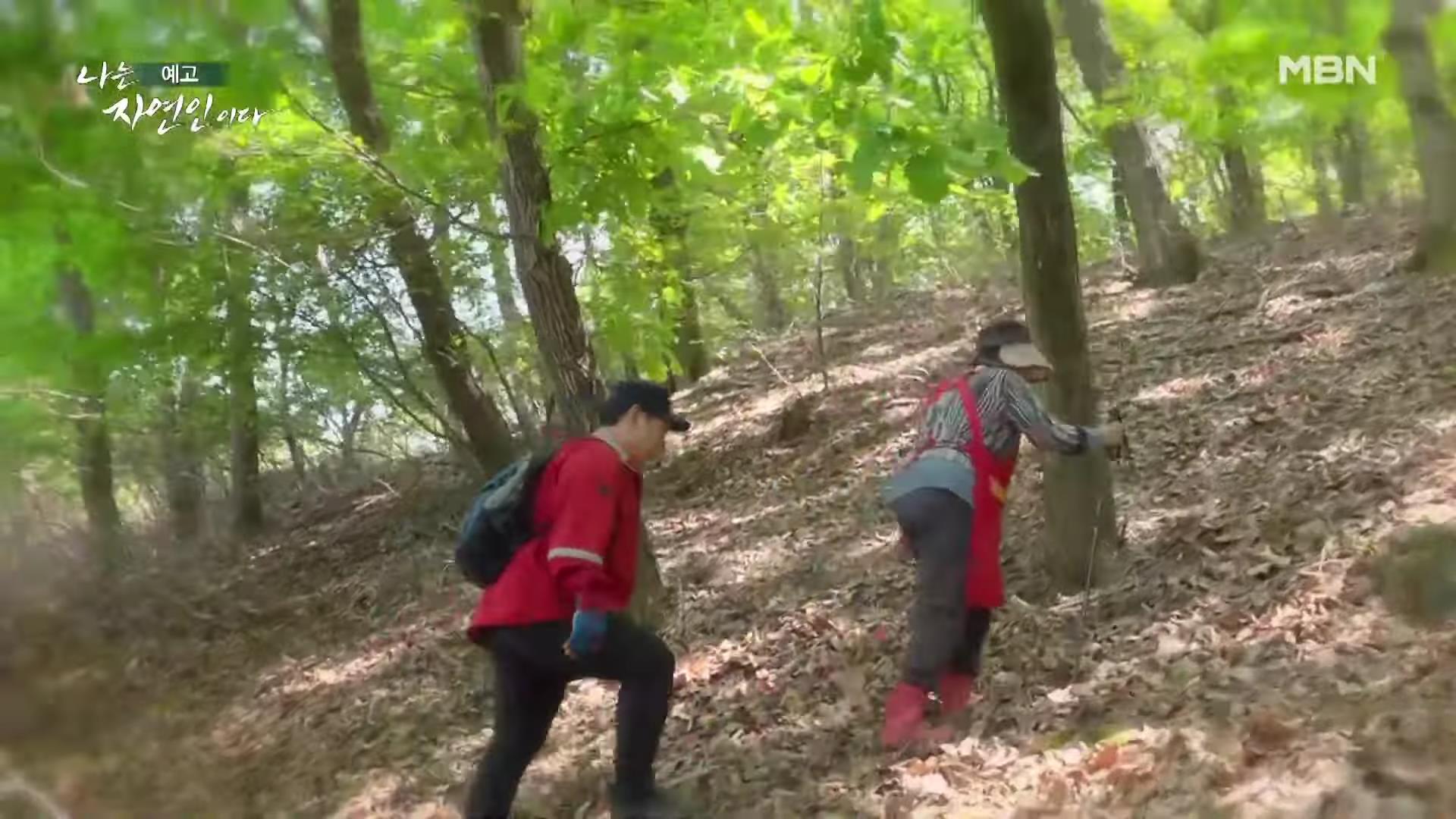 나는 자연인이다 쓰러진 막내딸 기적 만든 후 이젠 천국 떠나보낸 고마워요 엄마 자연인 구자순 소개 및 이승윤 출연 554회 다시보기