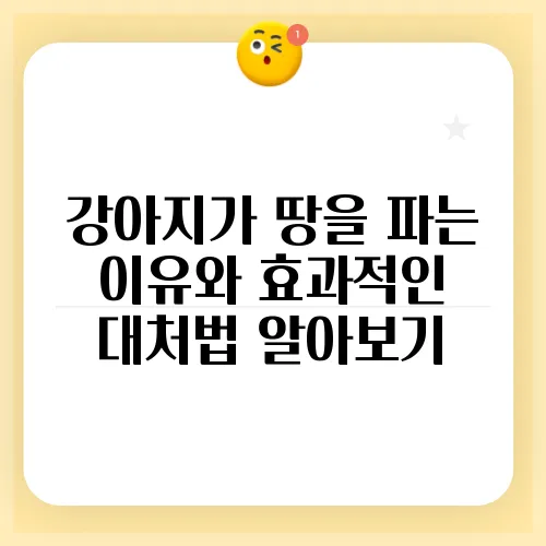 강아지가 땅을 파는 이유와 효과적인 대처법 알아보기