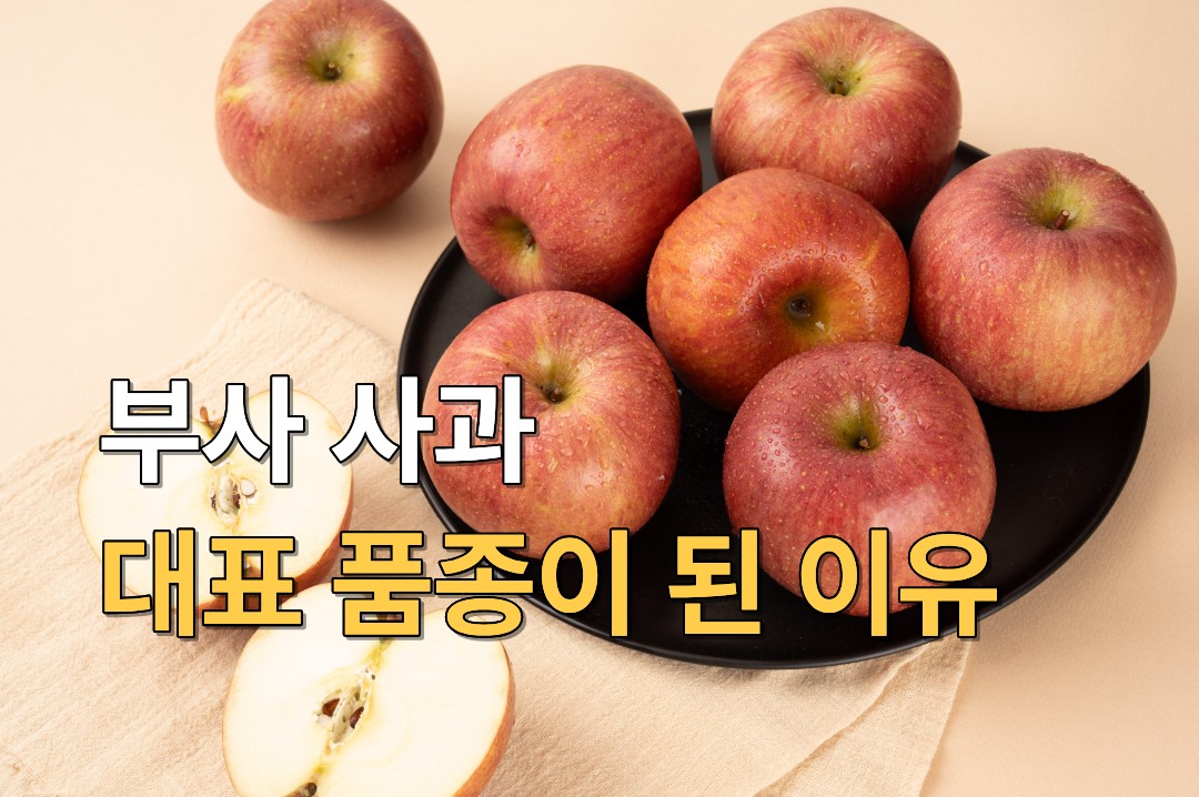 붉은 부사 사과 여러 개와 잘린 사과 단면이 함께 놓인 대표 이미지