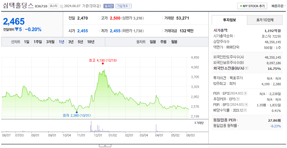심텍홀딩스_주가