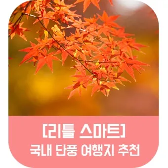 가을 단풍 여행지 베스트10 산책로 사진스팟 대중교통으로 여유롭게_19