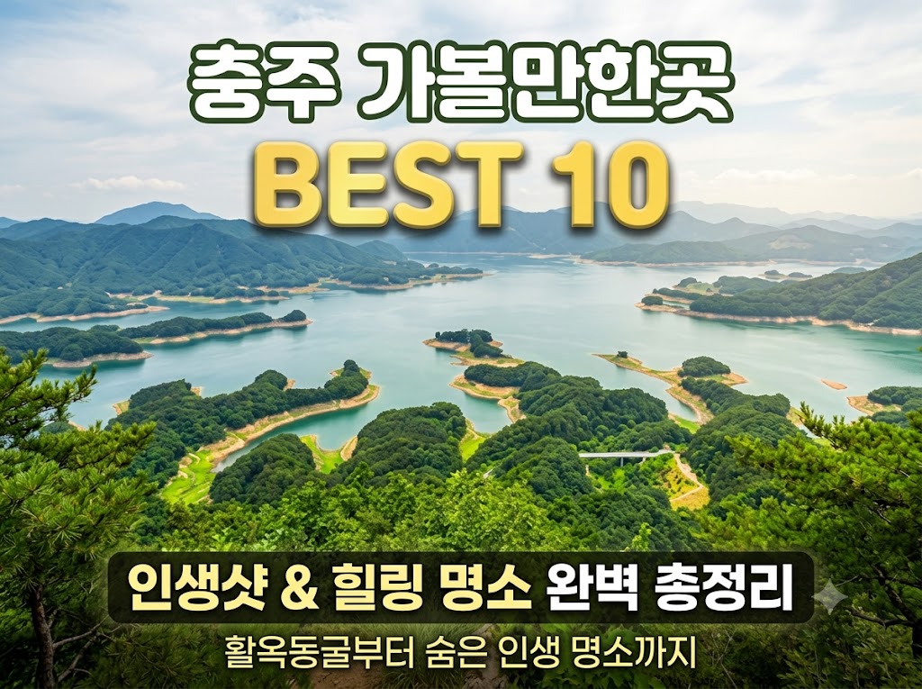 충주 가볼만한곳 베스트10