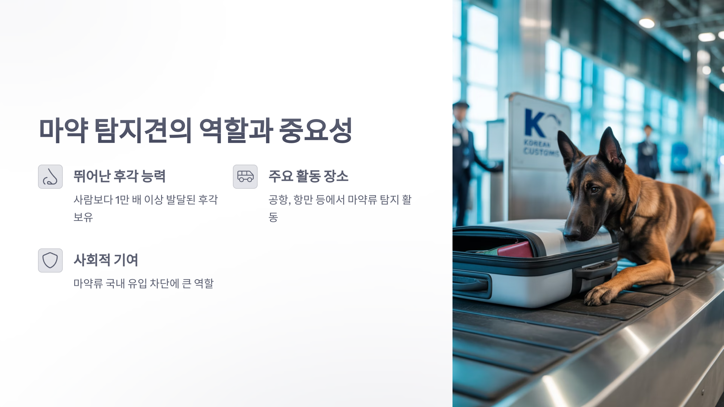 참조-마약-탐지견-2