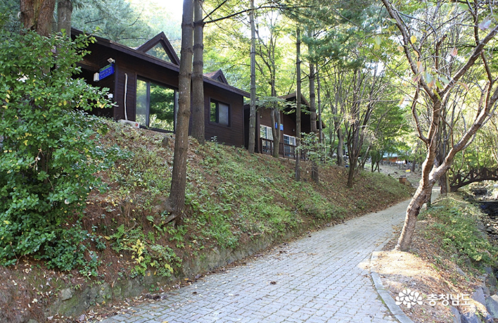 칠갑산 자연휴양림