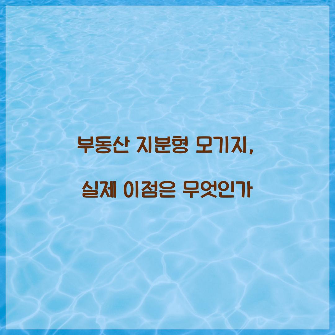 부동산 지분형 모기지