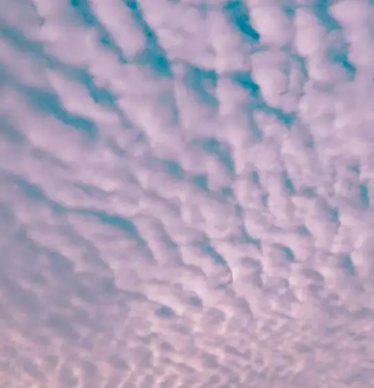 지진운 구름 모양