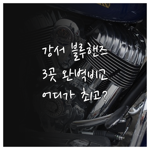 블루핸즈 명지점 대저점 지사점 상세 ..