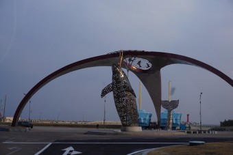 영덕 고래불 국민야영장