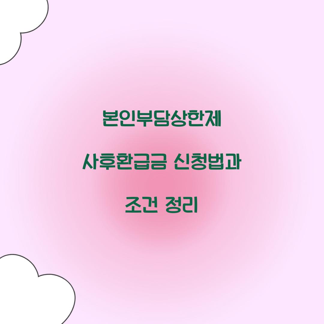 본인부담상한제 사후환급금