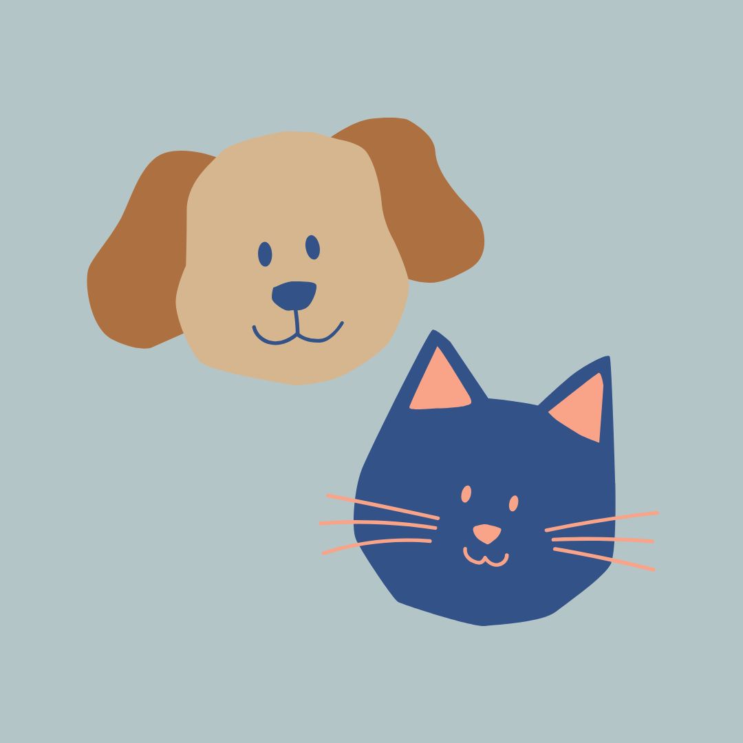 반려동물과/여행하기/대중교통별/이용방법