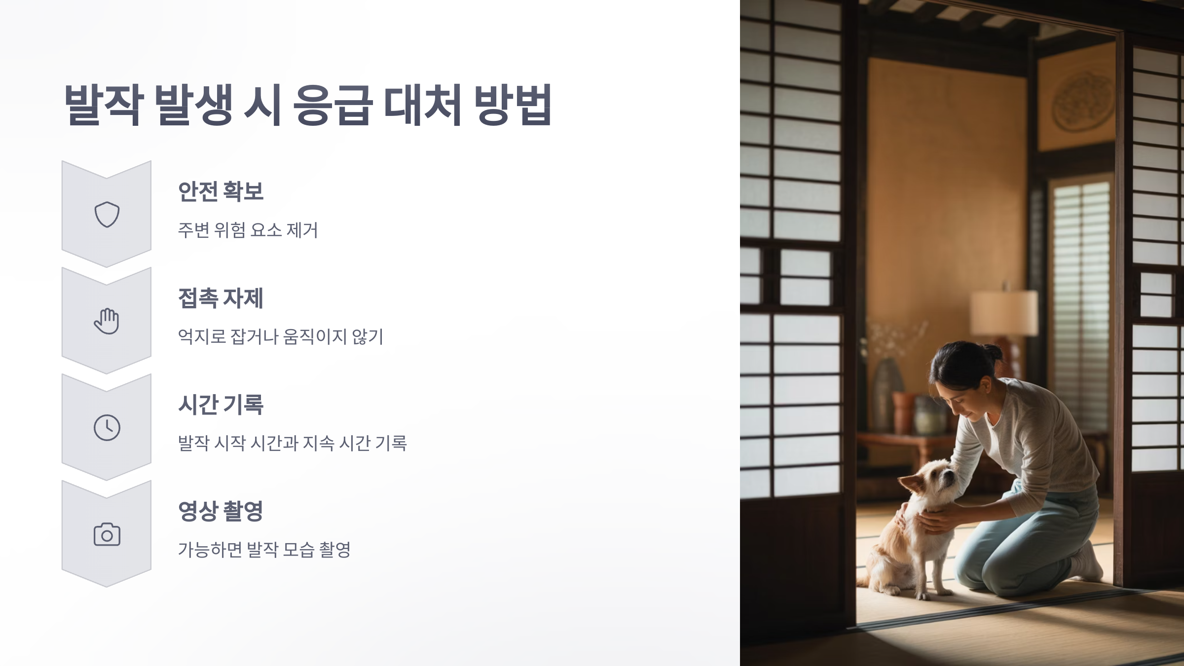 참조-뇌전증,-반려동물-3