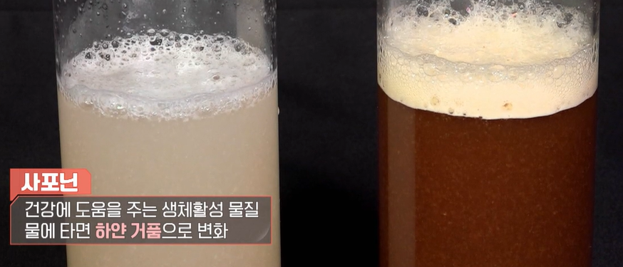맥문동 효능