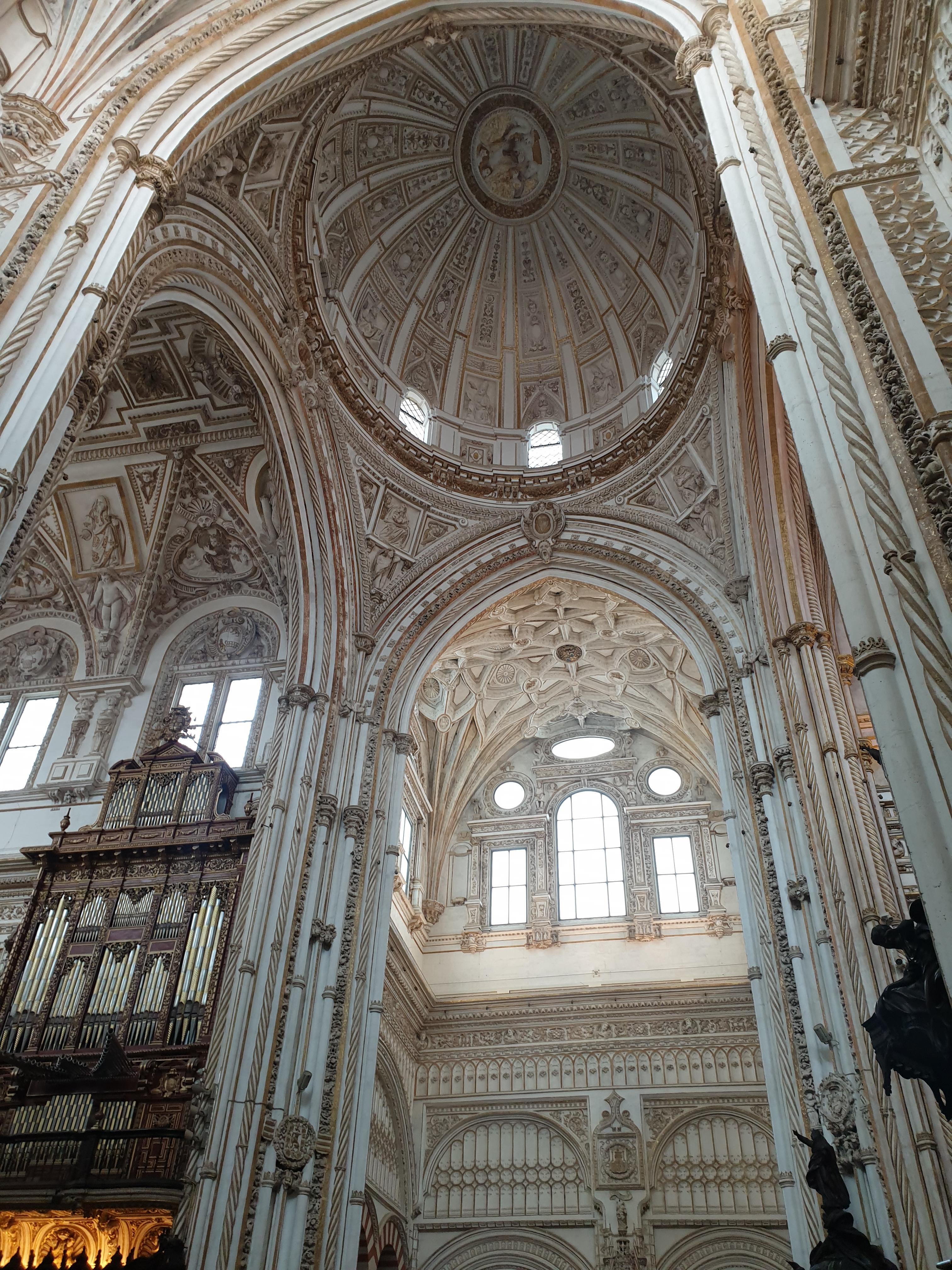 이미지-alt-태그-메스키타