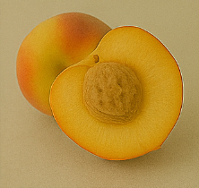 개복숭아효소의 효능