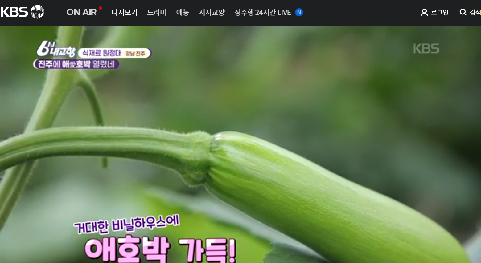 12월 29일 방송된 [ 식재료 원정대 &ndash;애호박가스&amp;#44; 꾸러미튀김가락국수&amp;#44; 애호박초밥케이크] 관련 레시피입니다.