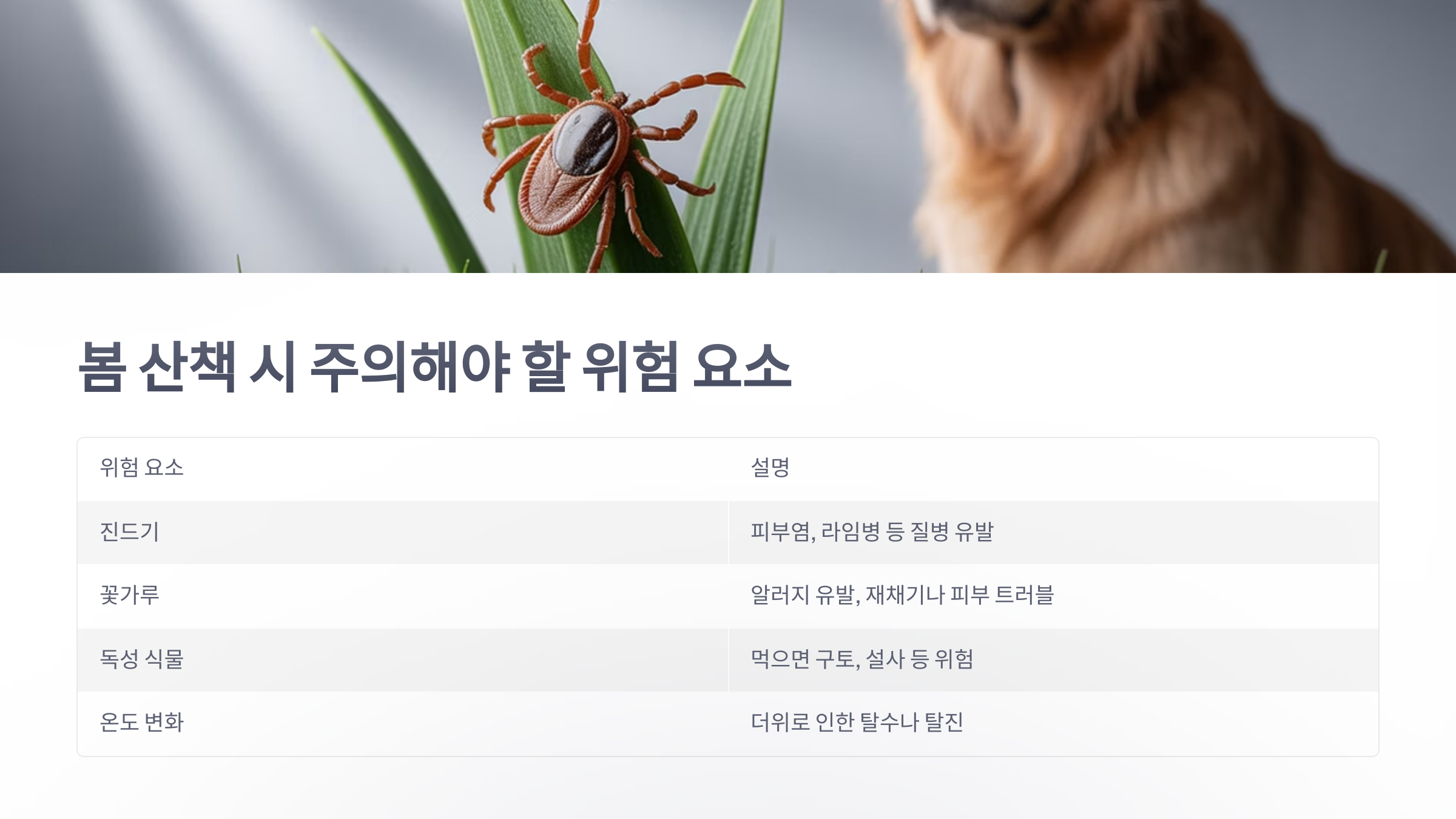 참조-반려견과-봄-산책시-주의사항-3