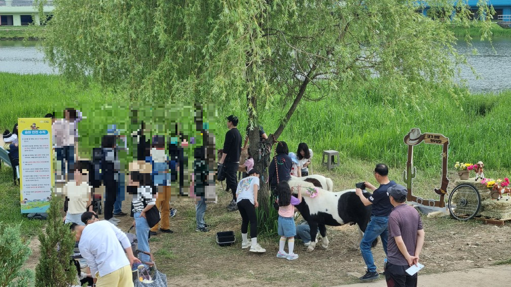 순천만국가정원 미니말 체험
