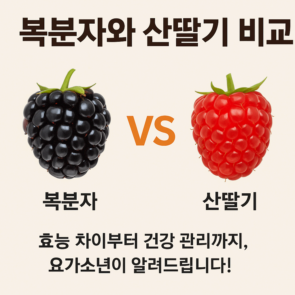 🍇복분자 vs 산딸기, 뭐가 더 좋을까? 건강 전문가들이 말하는 진짜 차이