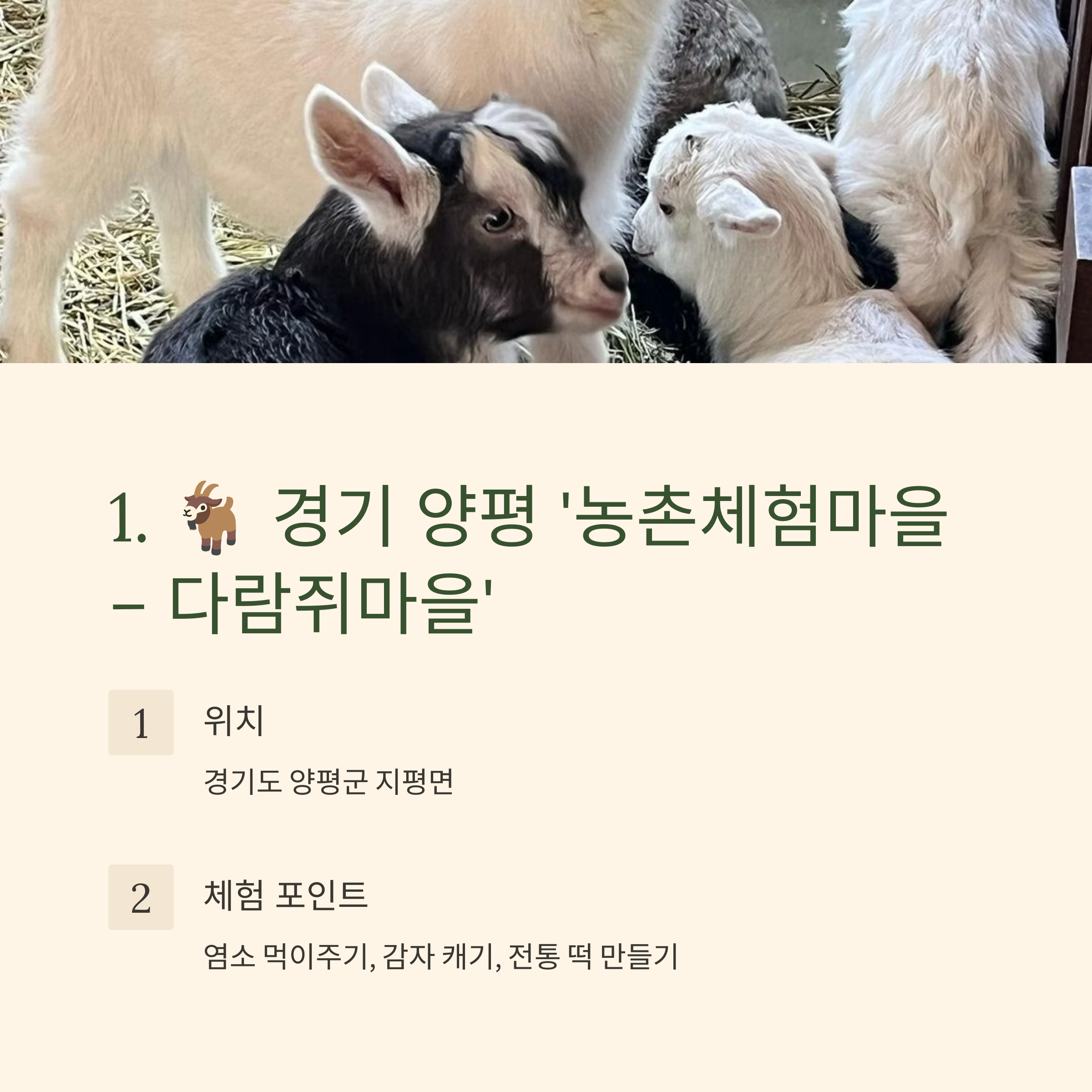 양평 체험