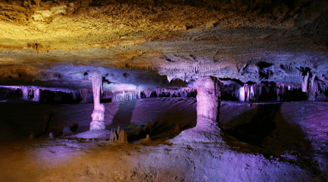 천곡황금박쥐동굴