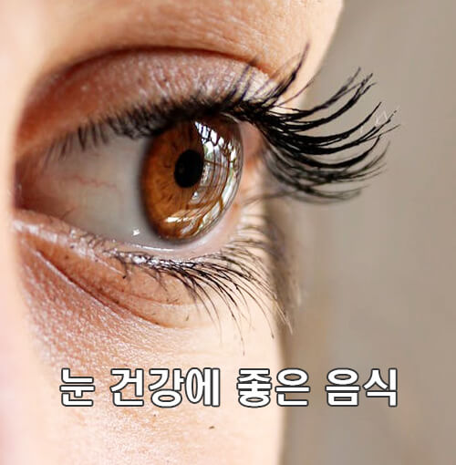 눈-건강