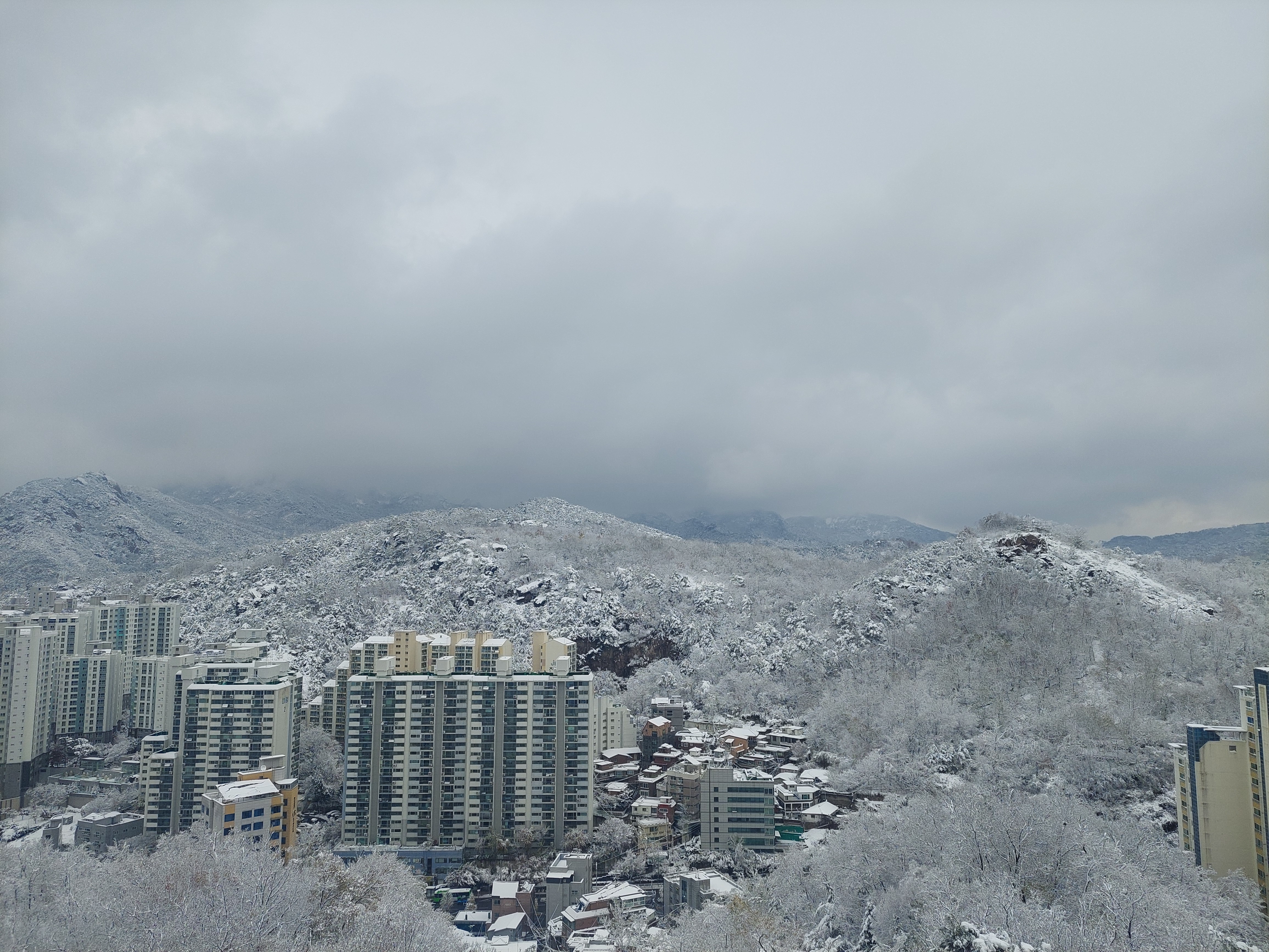 백련산안산