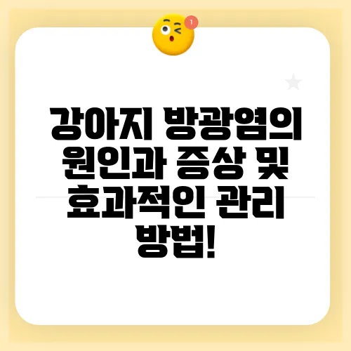강아지 방광염의 원인과 증상 및 효과적인 관리 방법!