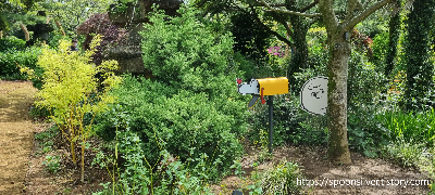 제주스누피가든