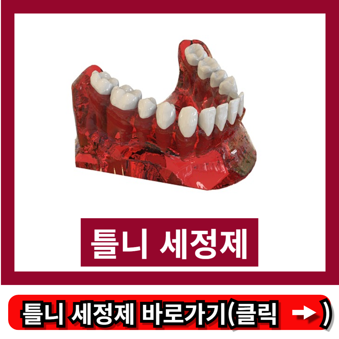 틀니 세정제