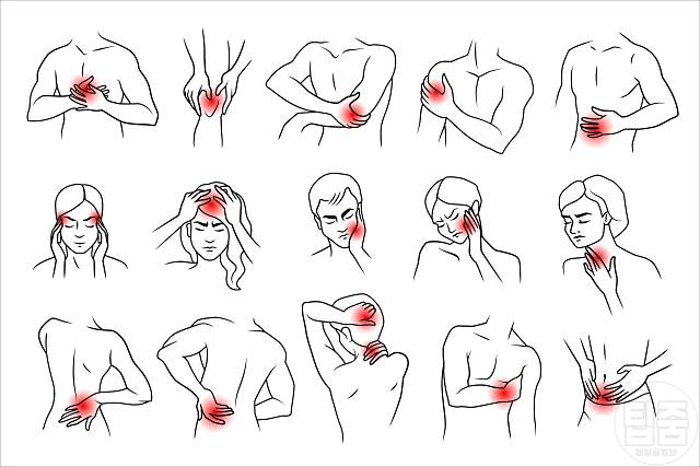 사과 매일 먹으면 만성염증 사과 효능 부작용