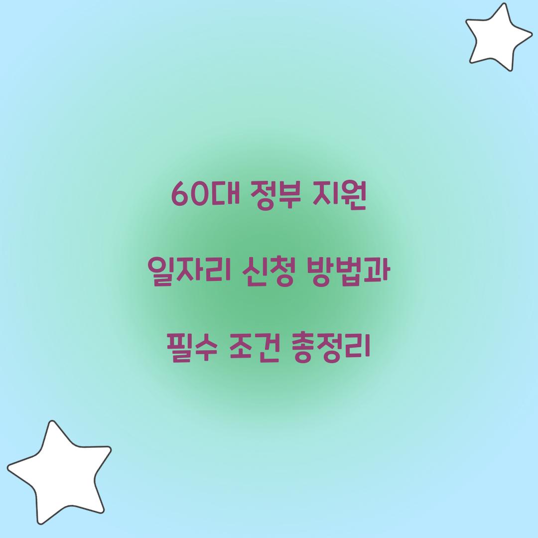 60대 정부 지원 일자리