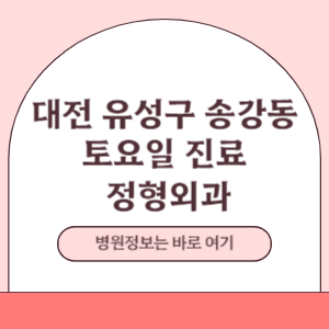 대전 유성구 송강동 토요일 정형외과 진료 병원