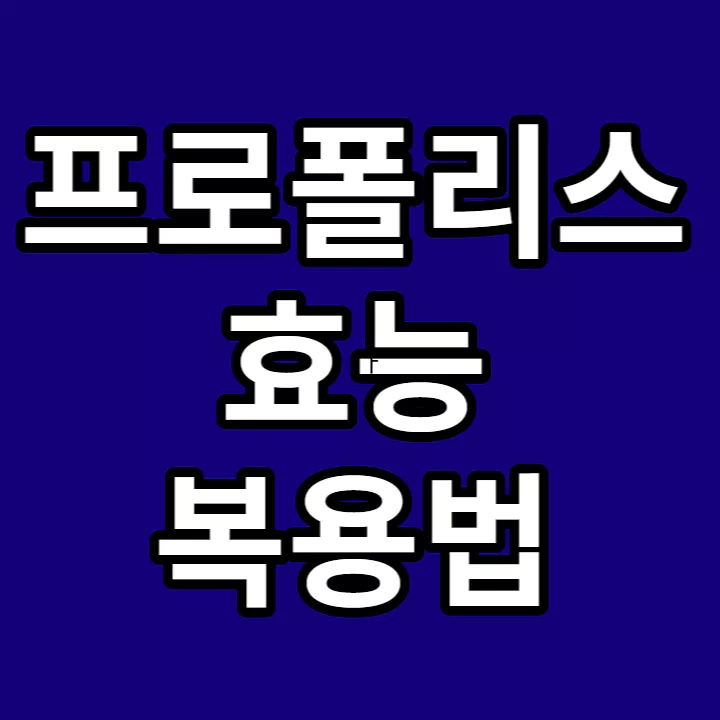 프로폴리스-효능-복용법