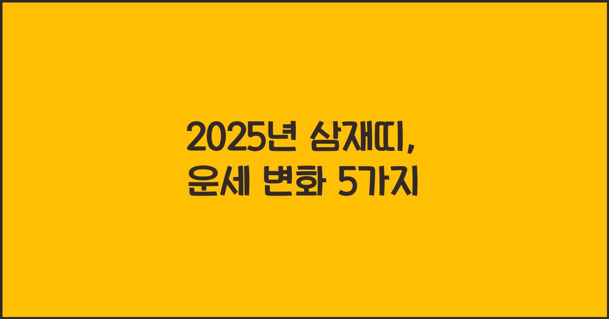 2025년 삼재띠