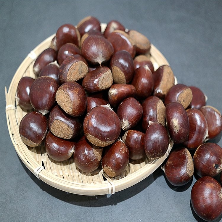 밤 효능