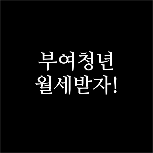 부여군 청년월세지원 자가진단 소득 요..