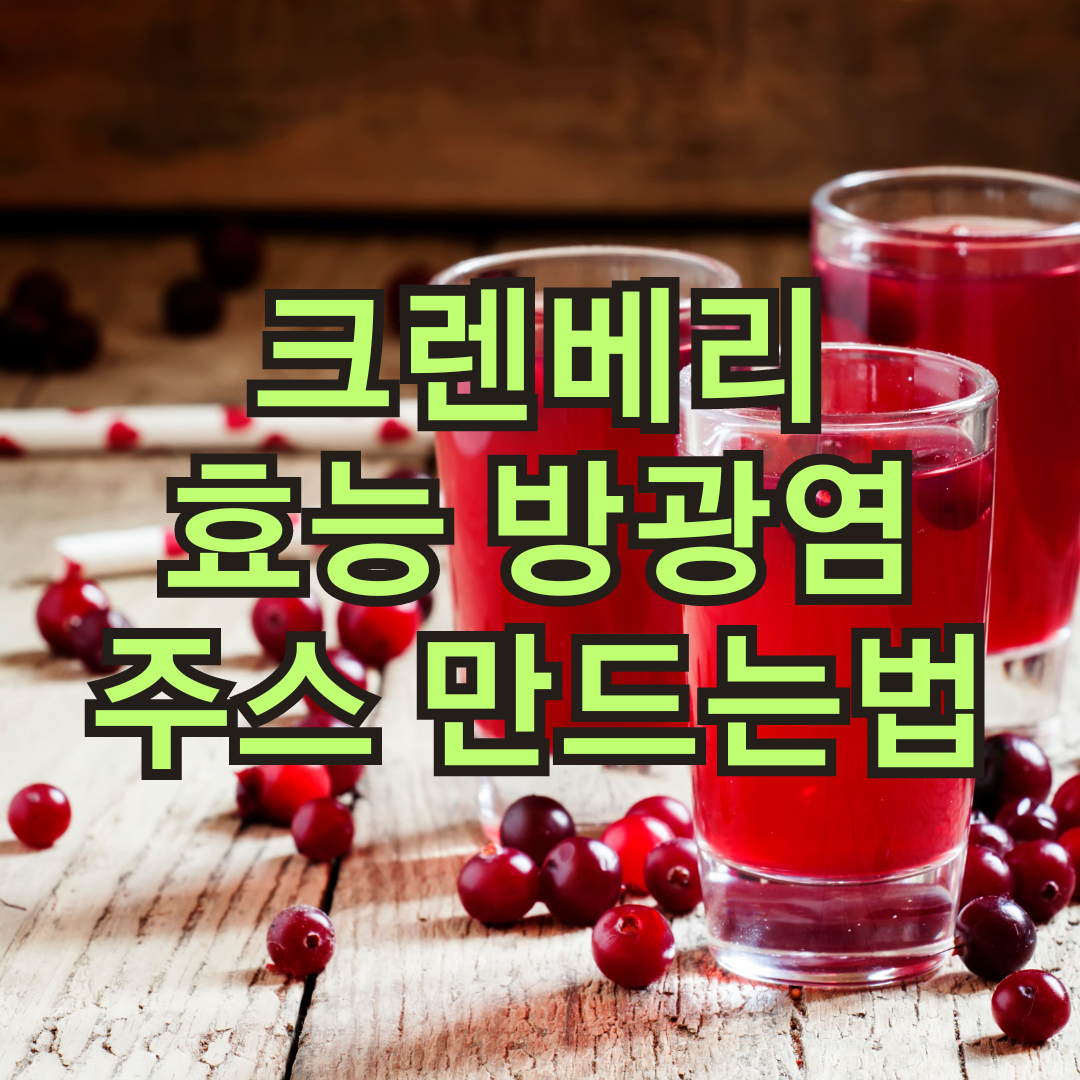 크렌베리 효능과 부작용, 방광염의 관계, 크렌베리 주스 만드는 법