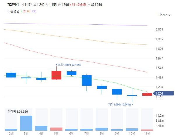 금Gold관련주대장주수혜주TOP5_TKG애강