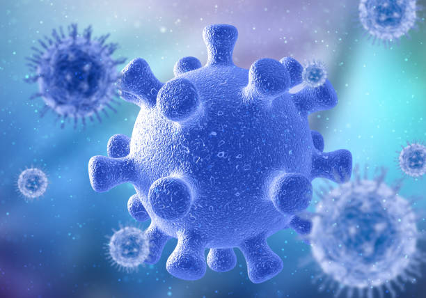 알약 무료 다운로드