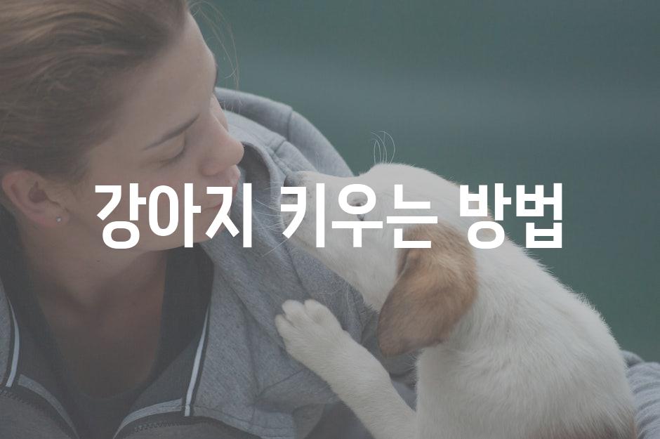 Dog care 9