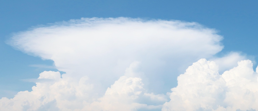 모루그름의 모습